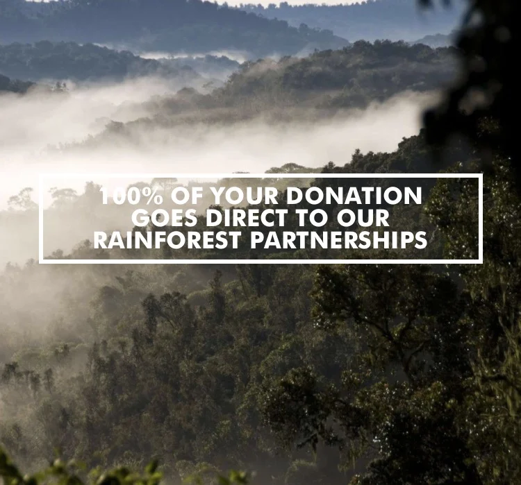 FullSizeRender.jpg