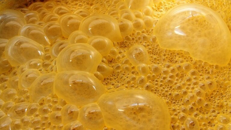 3196-fermentation-sugar-cane-molasses-how-rum-made-fermentation-and-distillation-rum.jpeg
