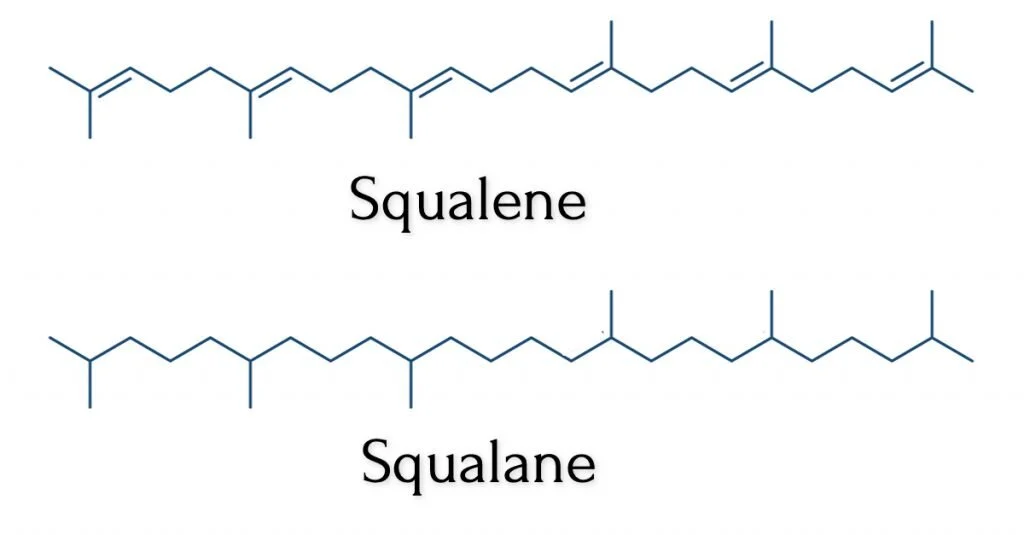 Difference-between-Squalene-and-Squalane-chemical-structures-1-1024x535.jpeg