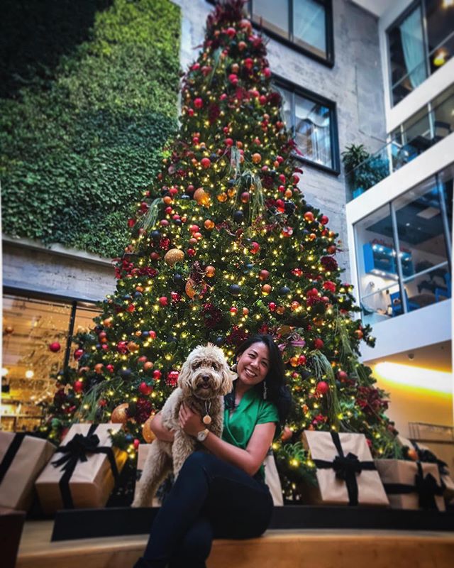 The closest I&rsquo;ll get to sending a Christmas card. Merry Christmas 🎄🐶🎄from Marty and me! #merrychristmas #christmastree #christmas #airbnb #card #tree #lights