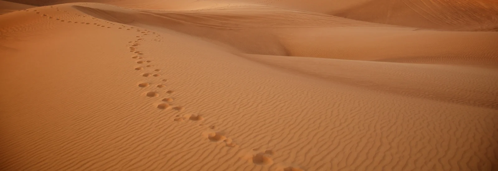 UAE 140.jpg