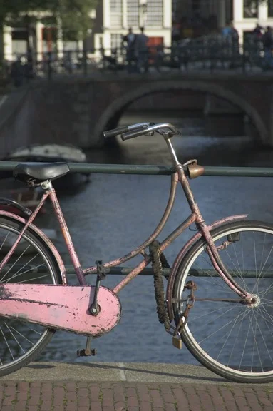 mybike.jpg