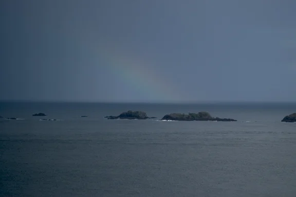 rainbow.jpg
