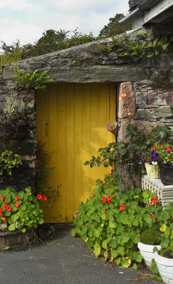irishdoor.jpg