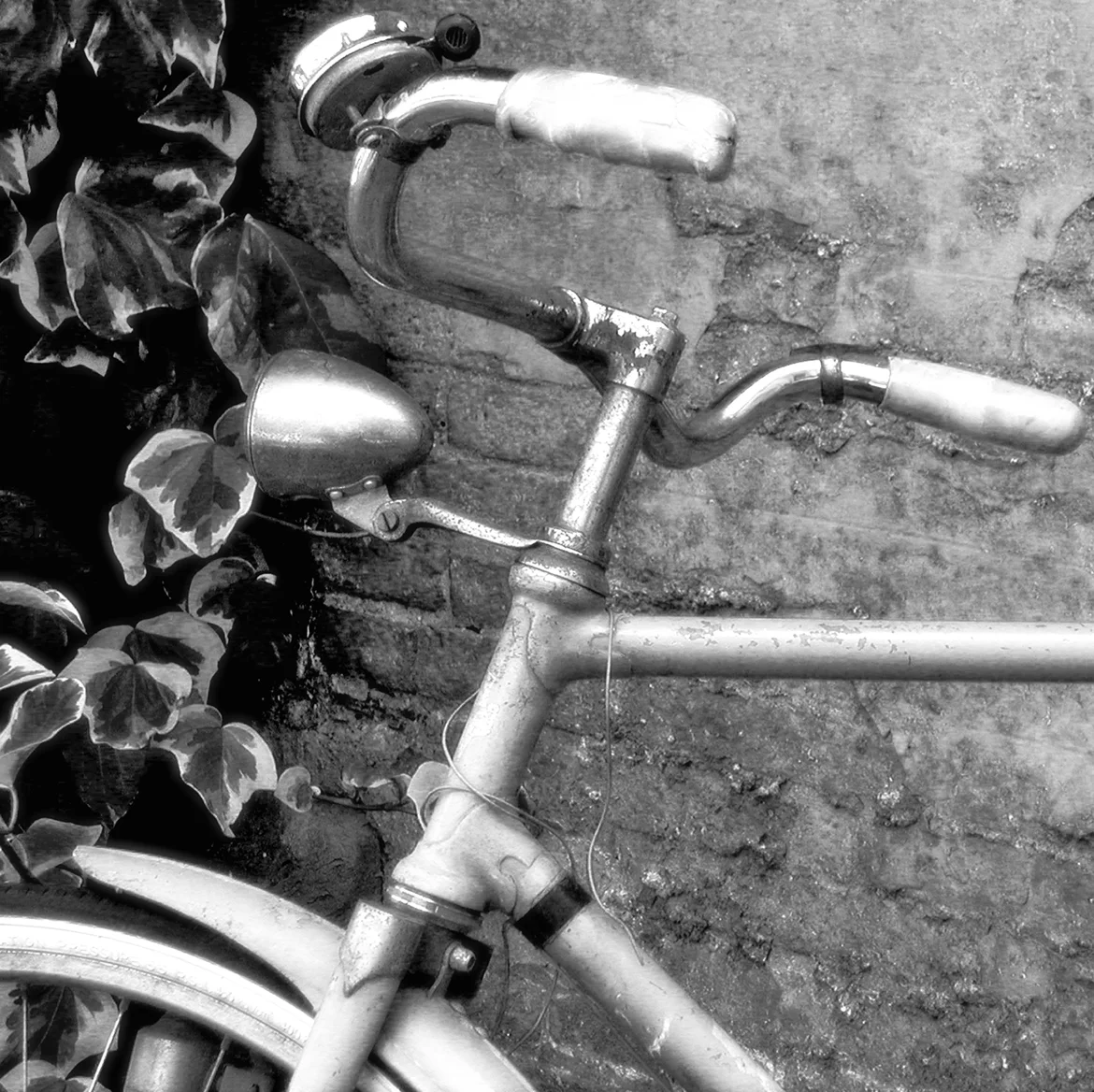 lucca, italy bike 1