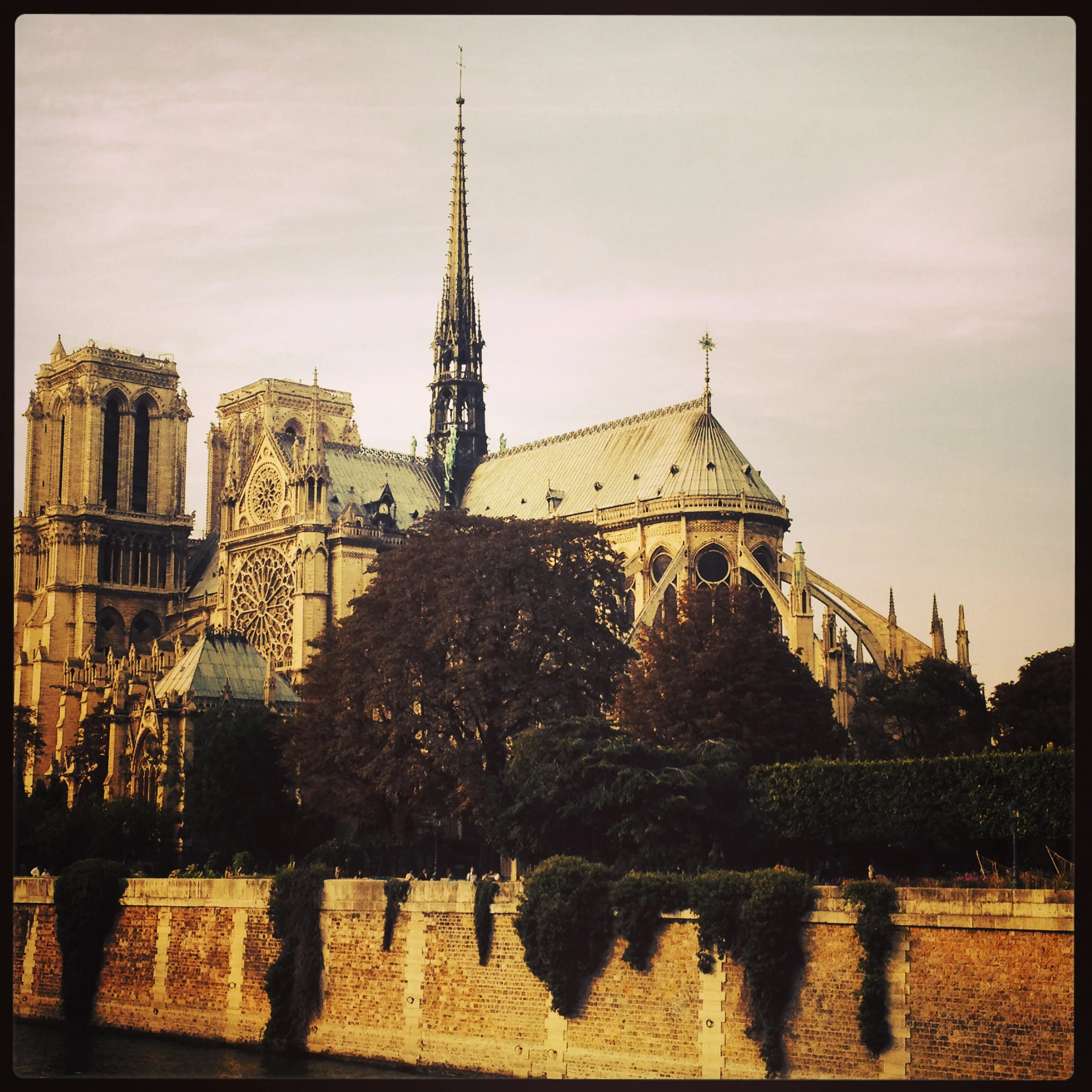 notre dame