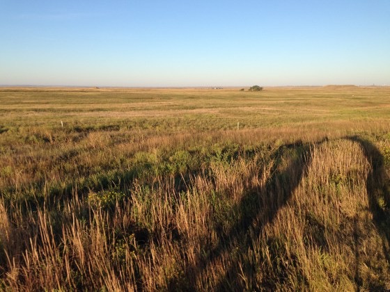 Road from Kadoka, SD to Oacoma, SD (no trees!) Thanks for the photo, David!