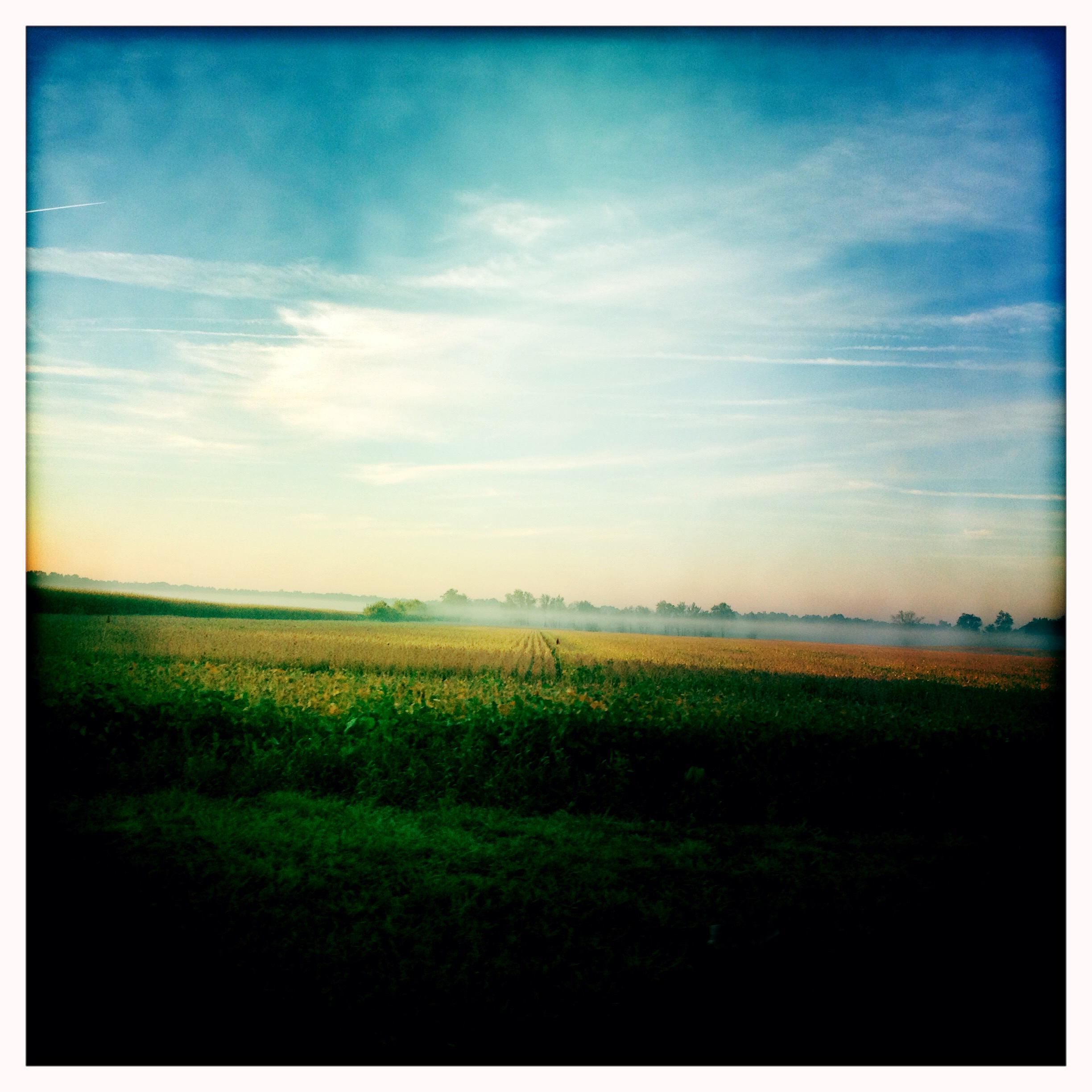 Middle of Michigan