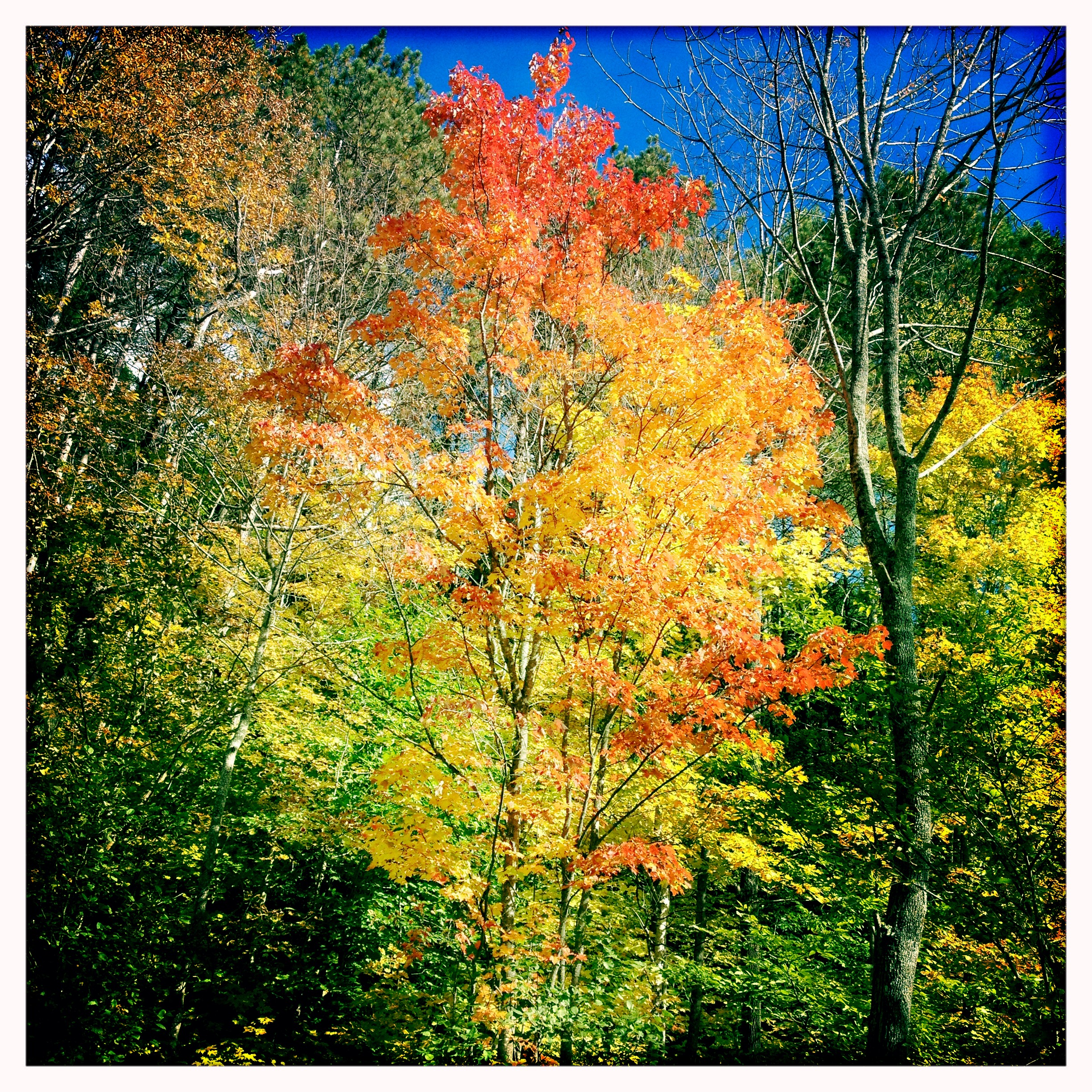 Vermont