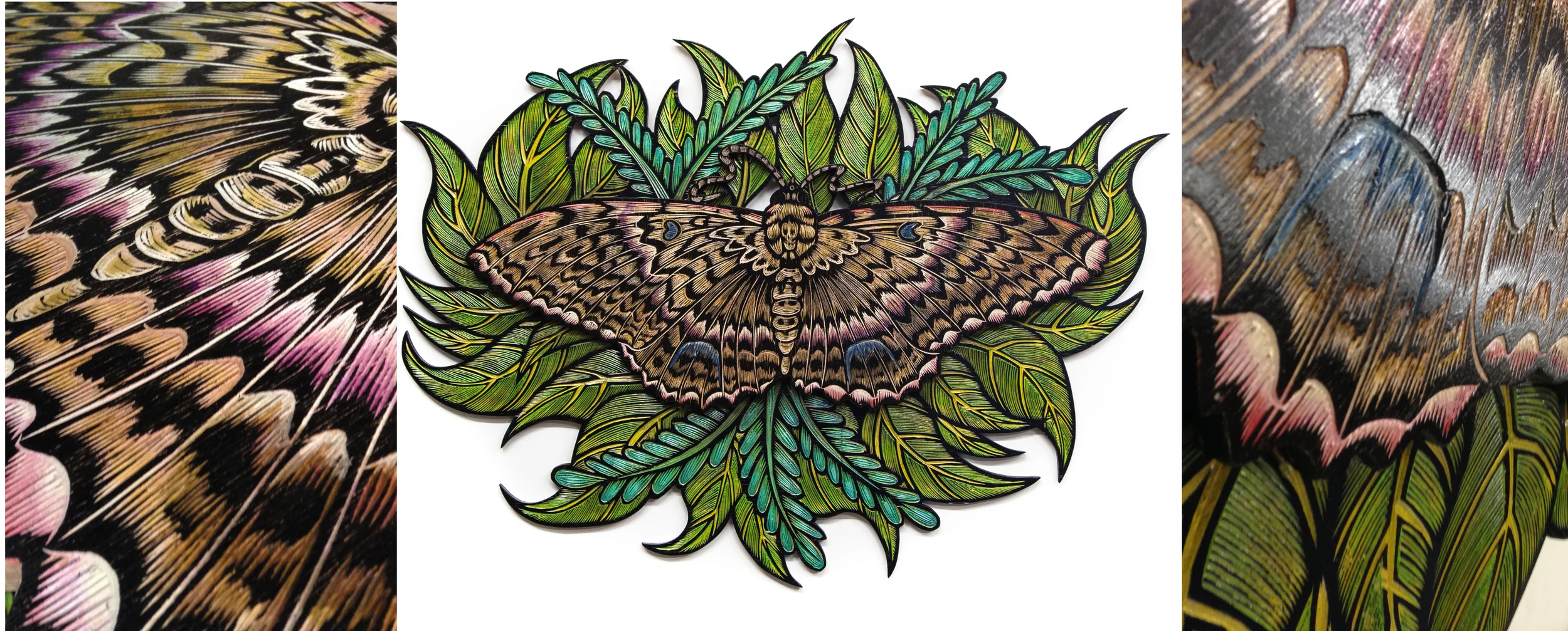 Black Witch Moth (wood carving 38"x28")