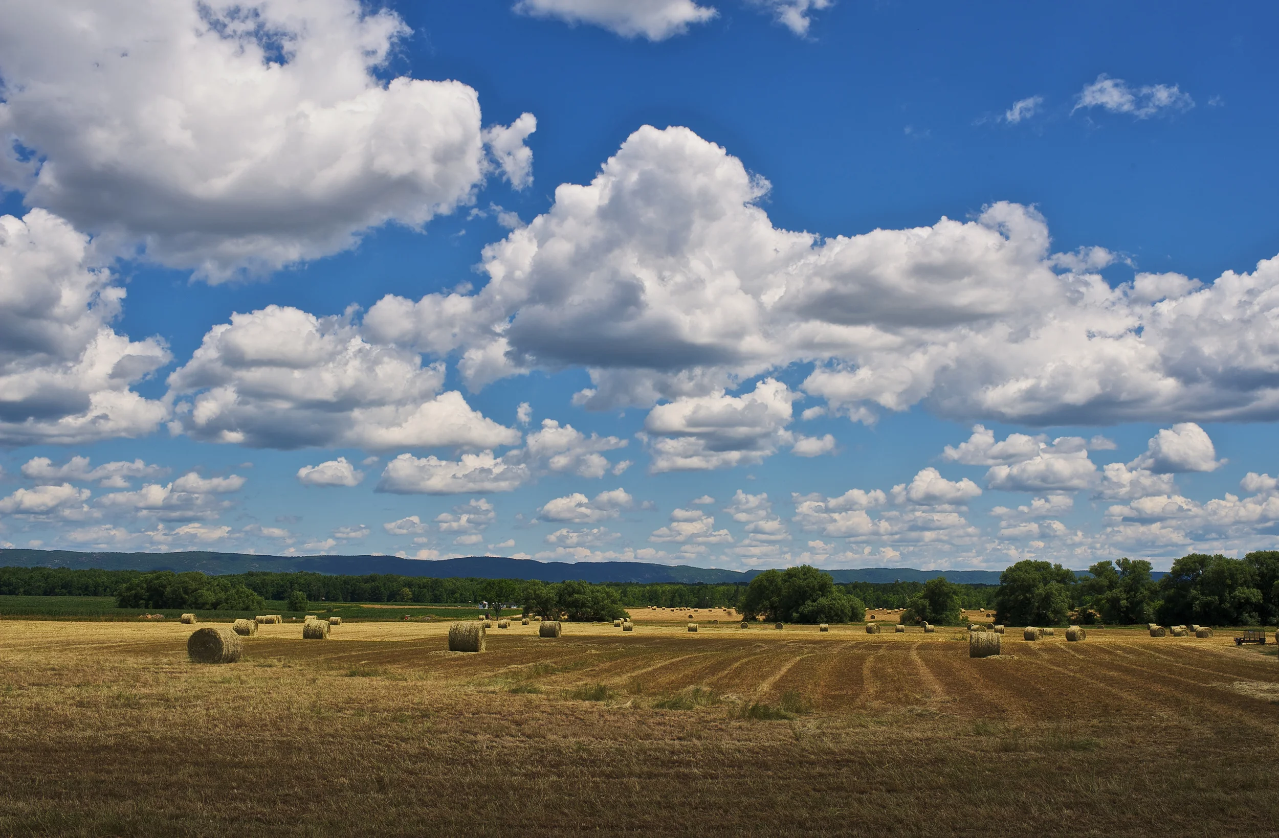 Landscapes  [PT] 07.jpg