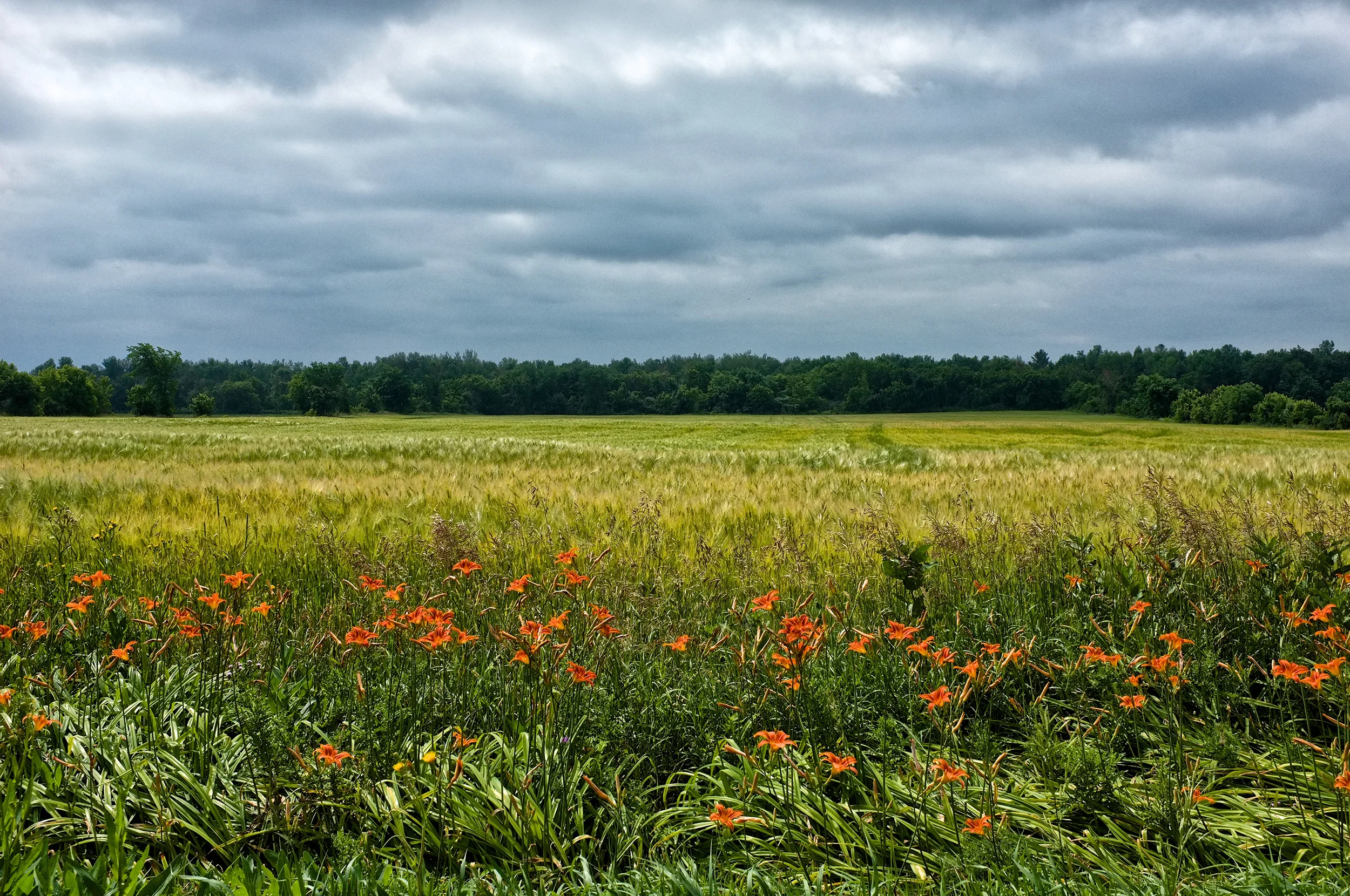 Landscapes  [PT] 01.jpg