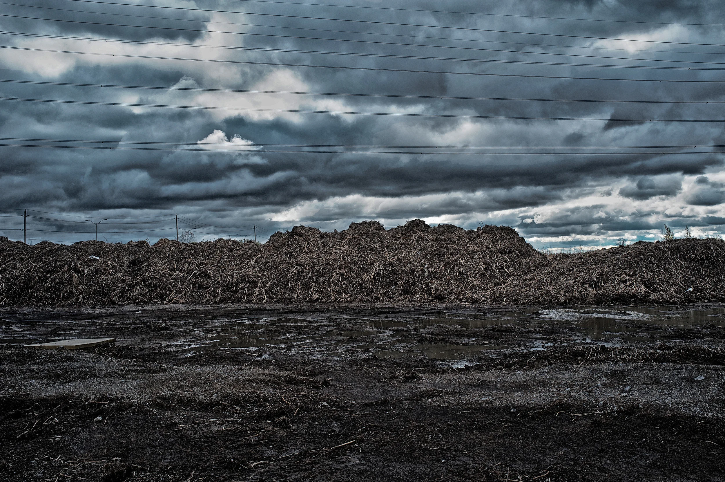 Landscapes  [PT] 10.jpg