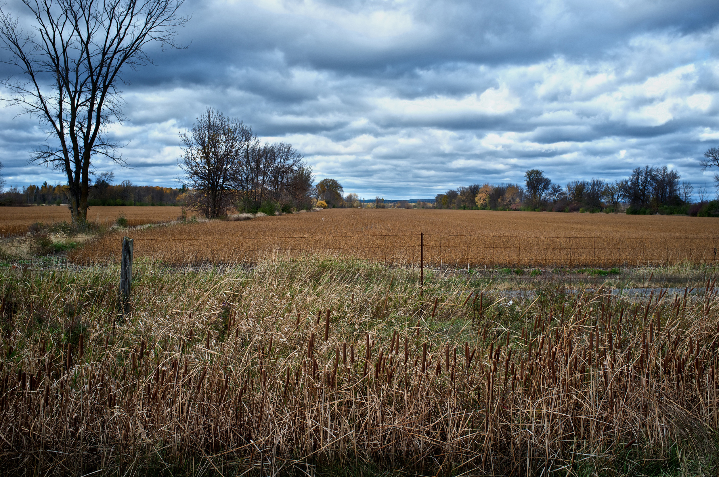 Landscapes  [PT] 04.jpg