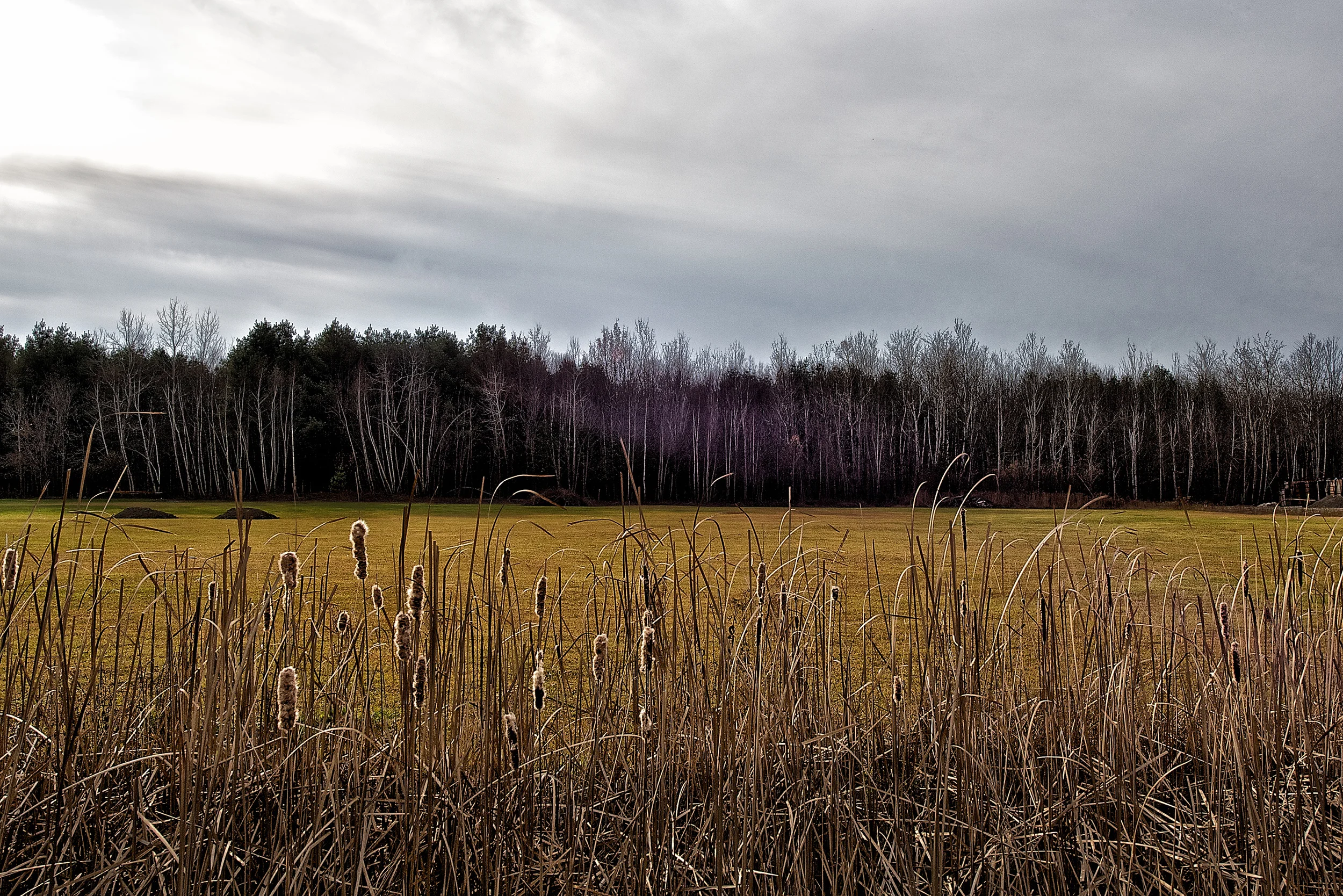 Landscapes  [PT] 03.jpg