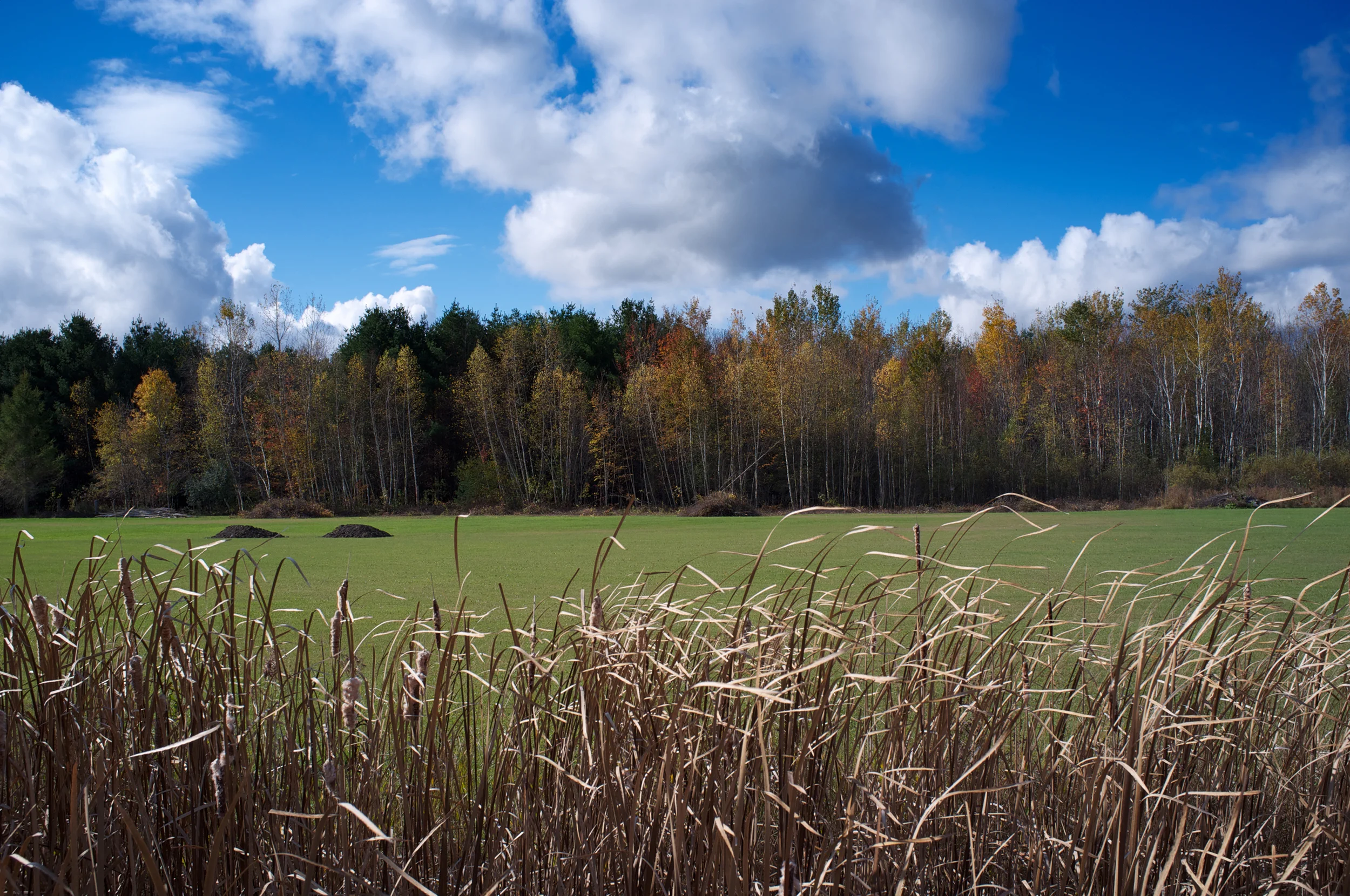 Landscapes  [PT] 02.jpg