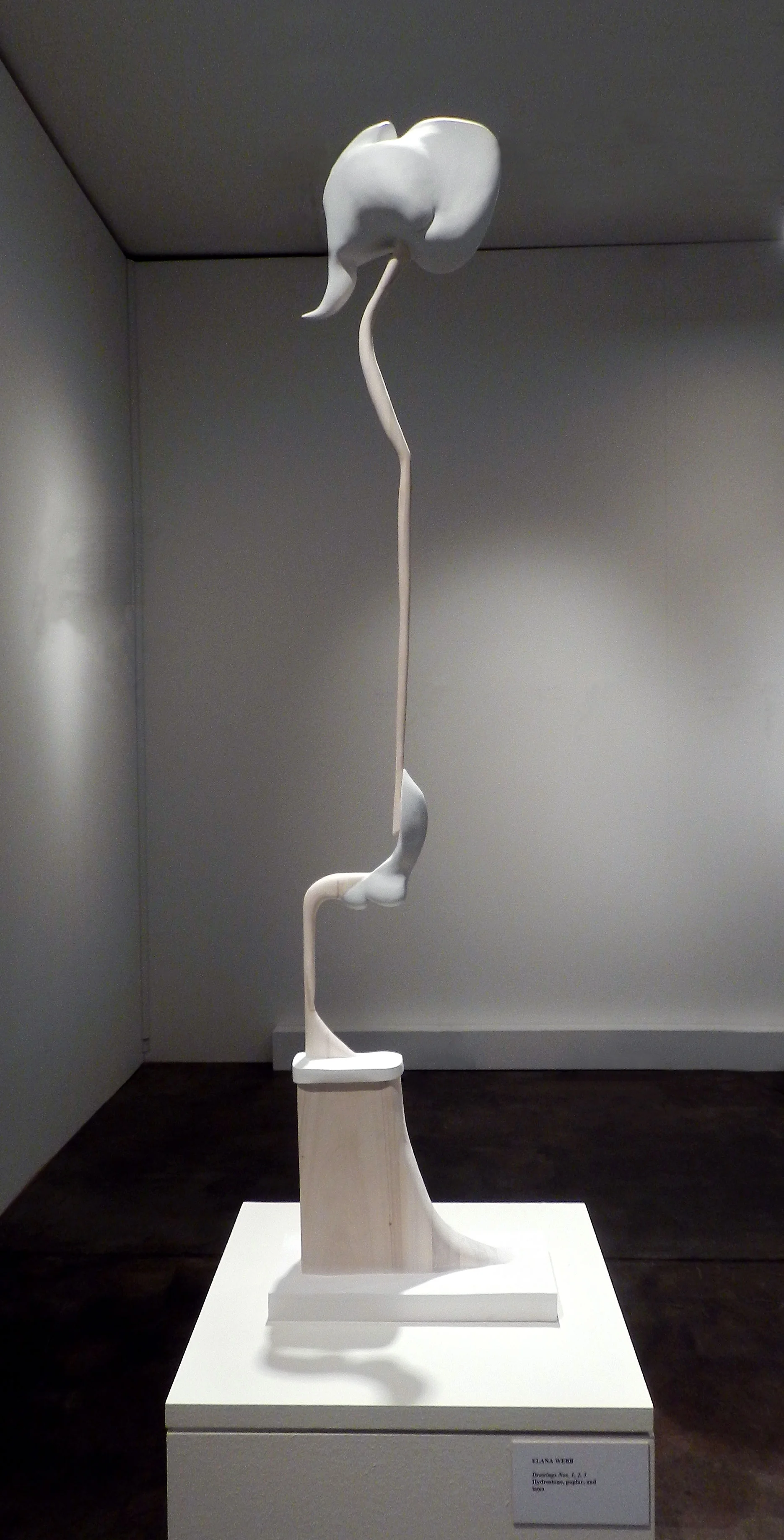 Drawing No. 1 hydrostone, poplar, and latex paint 53" x 13.5" x 6.5" 2012 We
are messy creatures made of meat and fluids; I take this mess and
present it in a formal way. I am interested in the inherent tension
between strength and vulnerability. In my sculpture, I offer the most
delicate pieces of myself, and through this I assert my strength as a
young woman who is just discovering what her hands can do for her head.