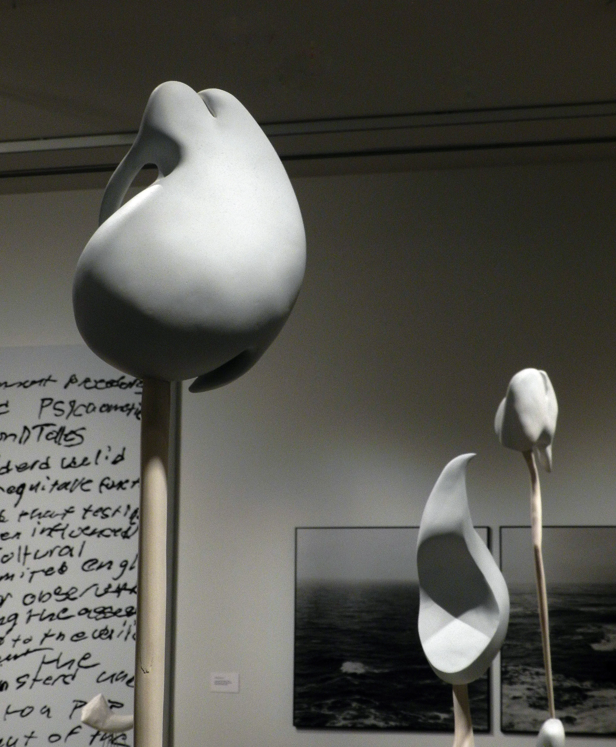 Drawings Nos. 1, 2, 3 Installation view hydrostone, poplar, and latex paint Dimensions variable 2012
