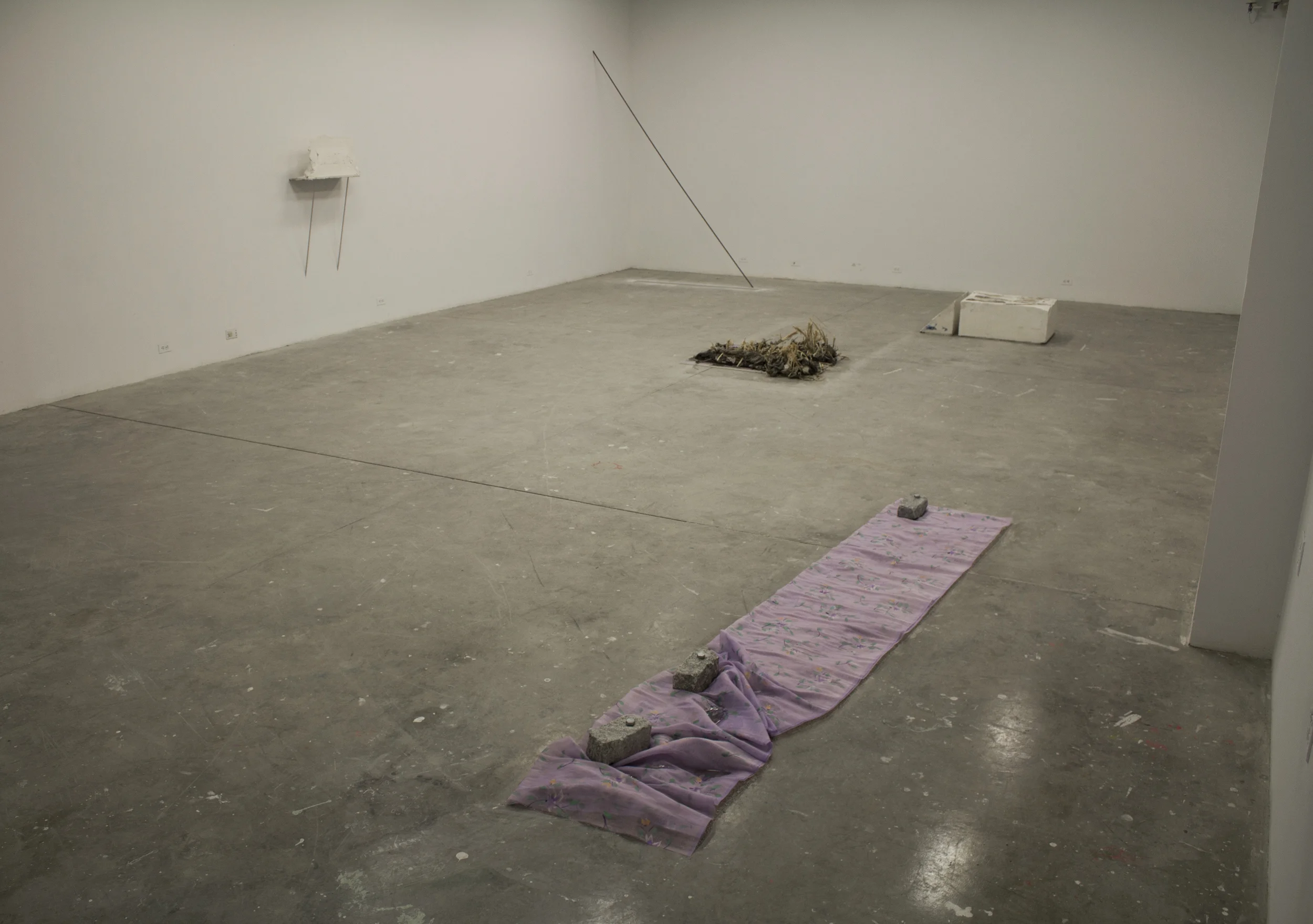   Plots (installation view)   dimensions variable  2014    