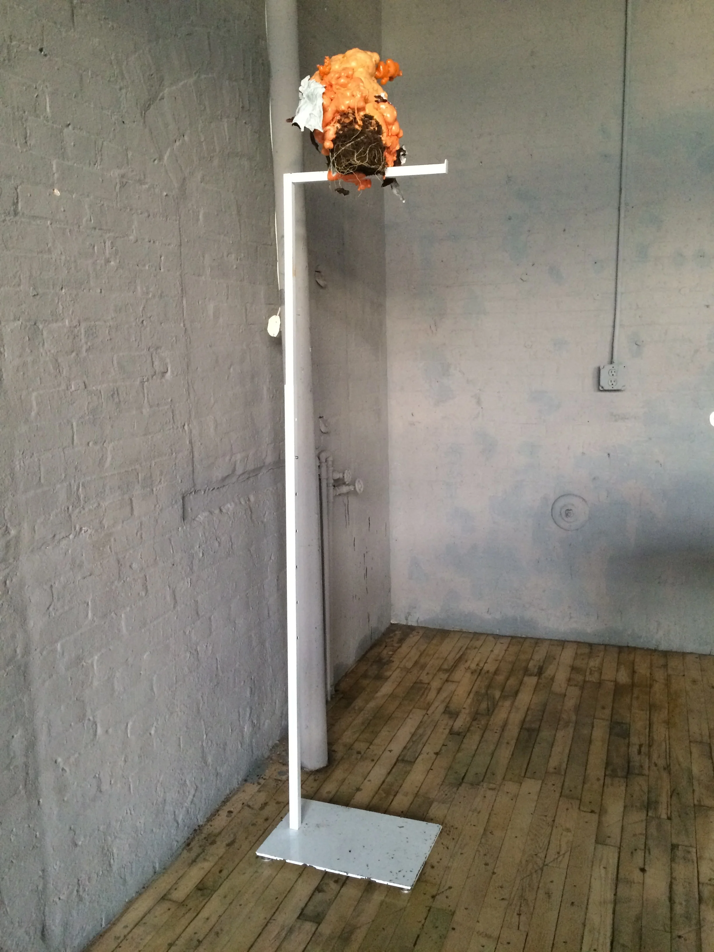   Nightlight   foam, plant, metal&nbsp;  7' x 2' x 1'  2015 