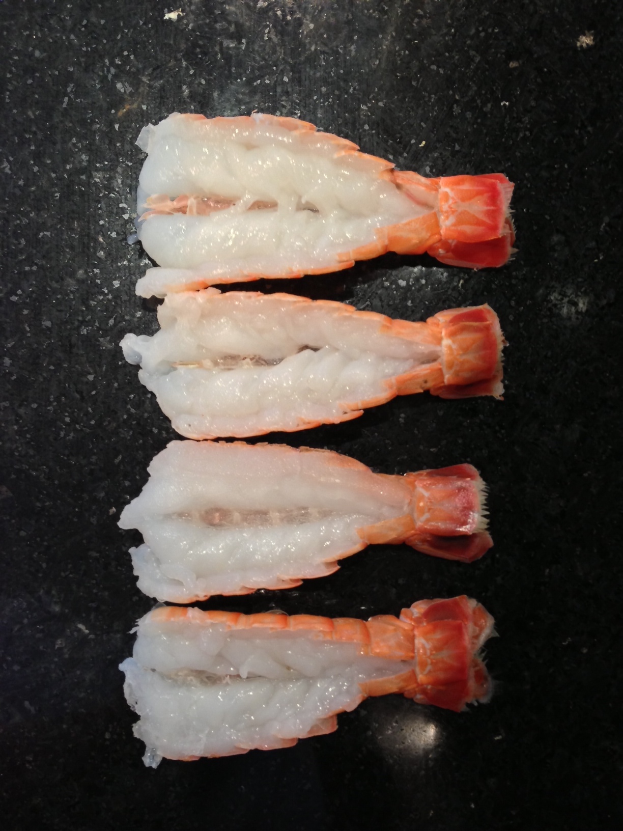 Scampi on Black.JPG
