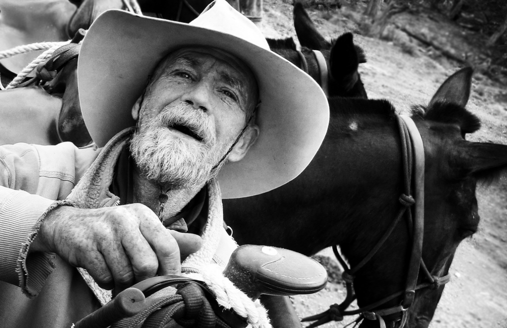"Mule Skinner", 2009.