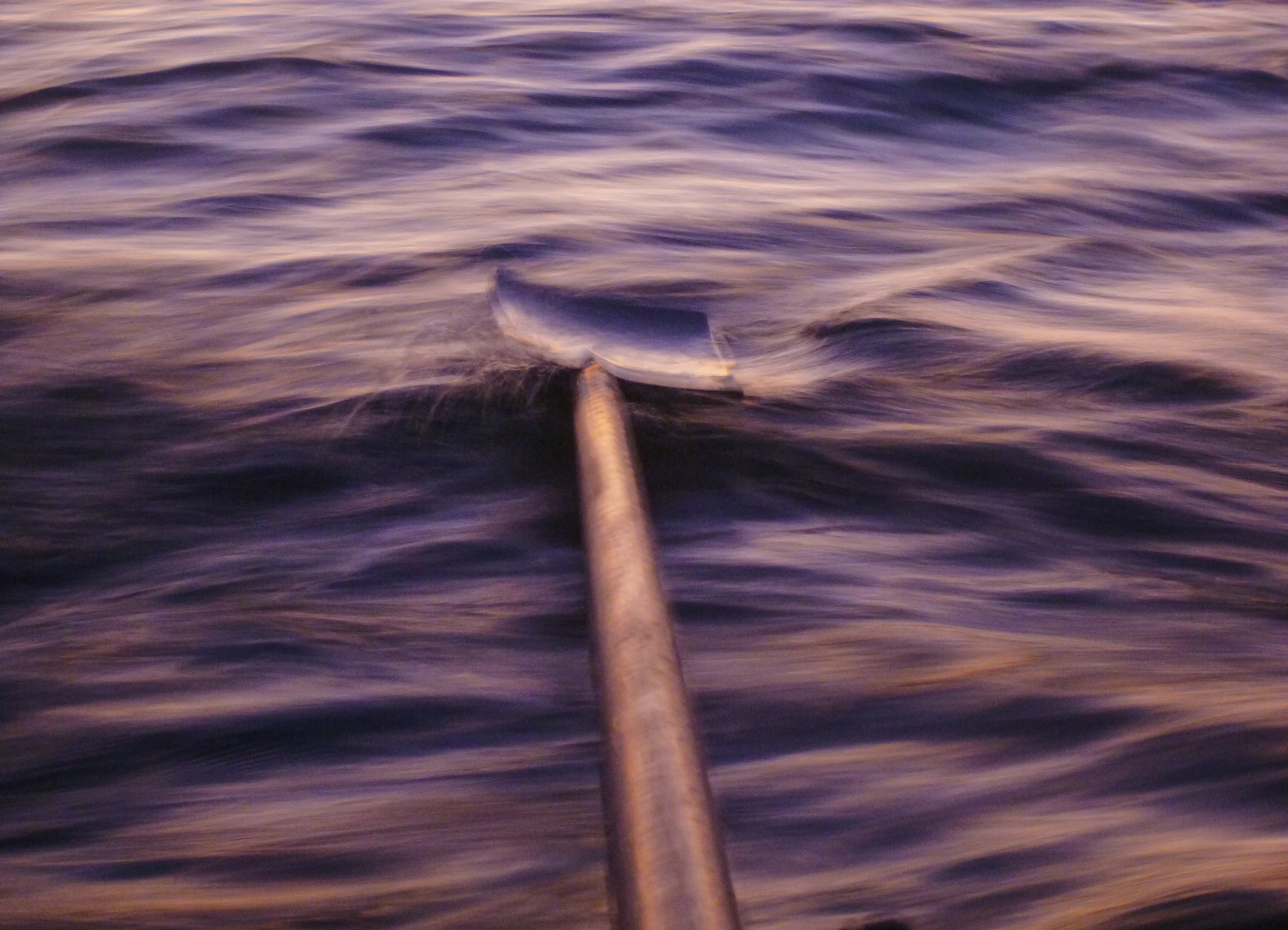 The_swirl_of_color_on_a_dawn_row.jpg