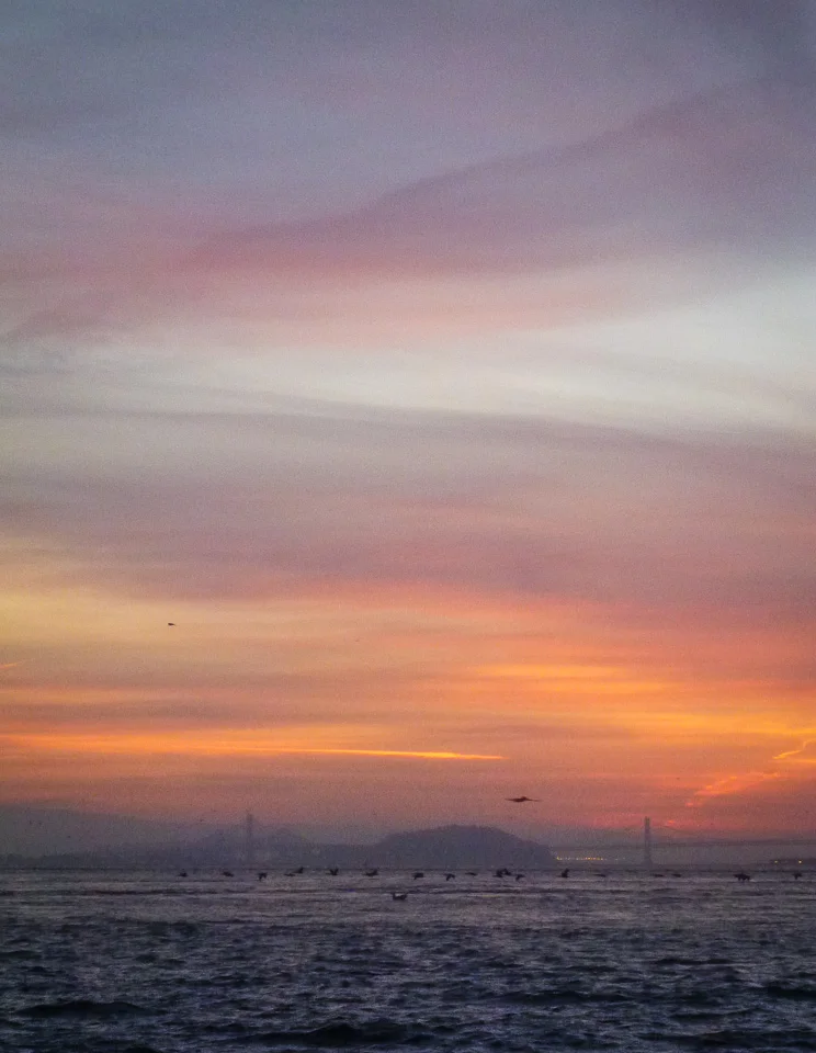 Happily back on the San Francisco Bay, Thursday, Feb. 15, 2013, 7:10 a.m.