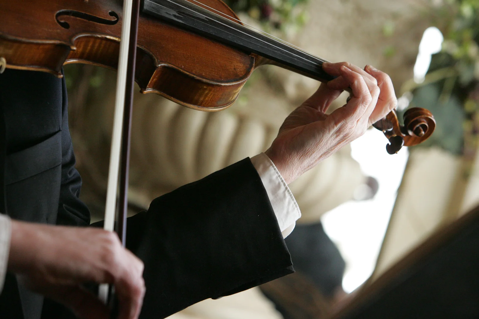 Violin