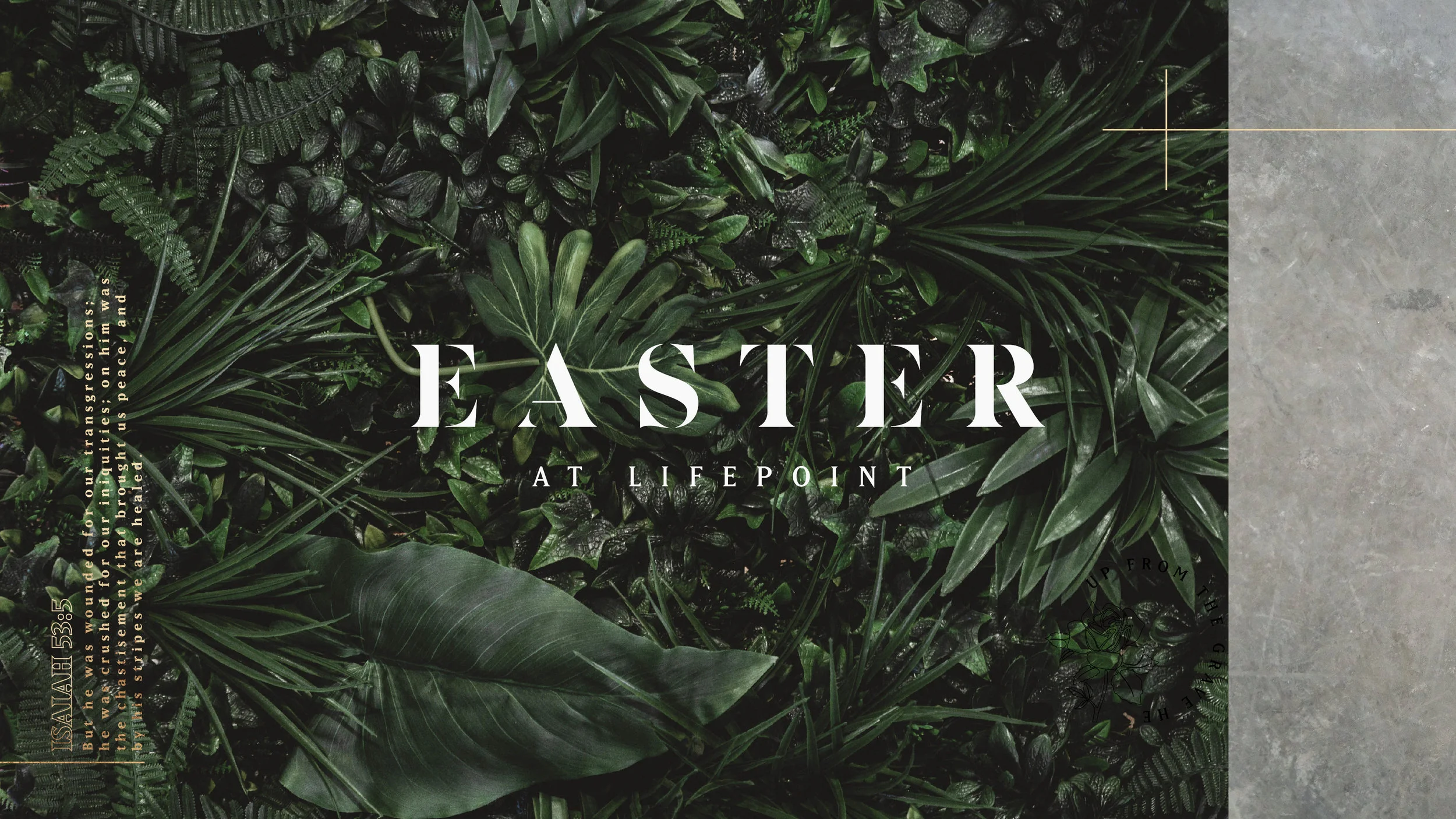 Easter-Splash_Color.jpg