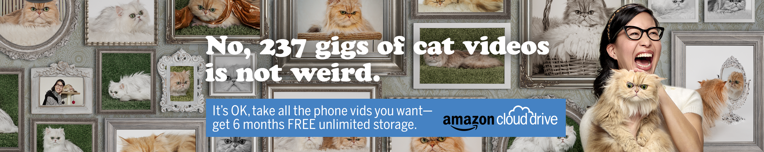 8117_ACD_Hero_Banner_CatLady_mbr_m1b.png