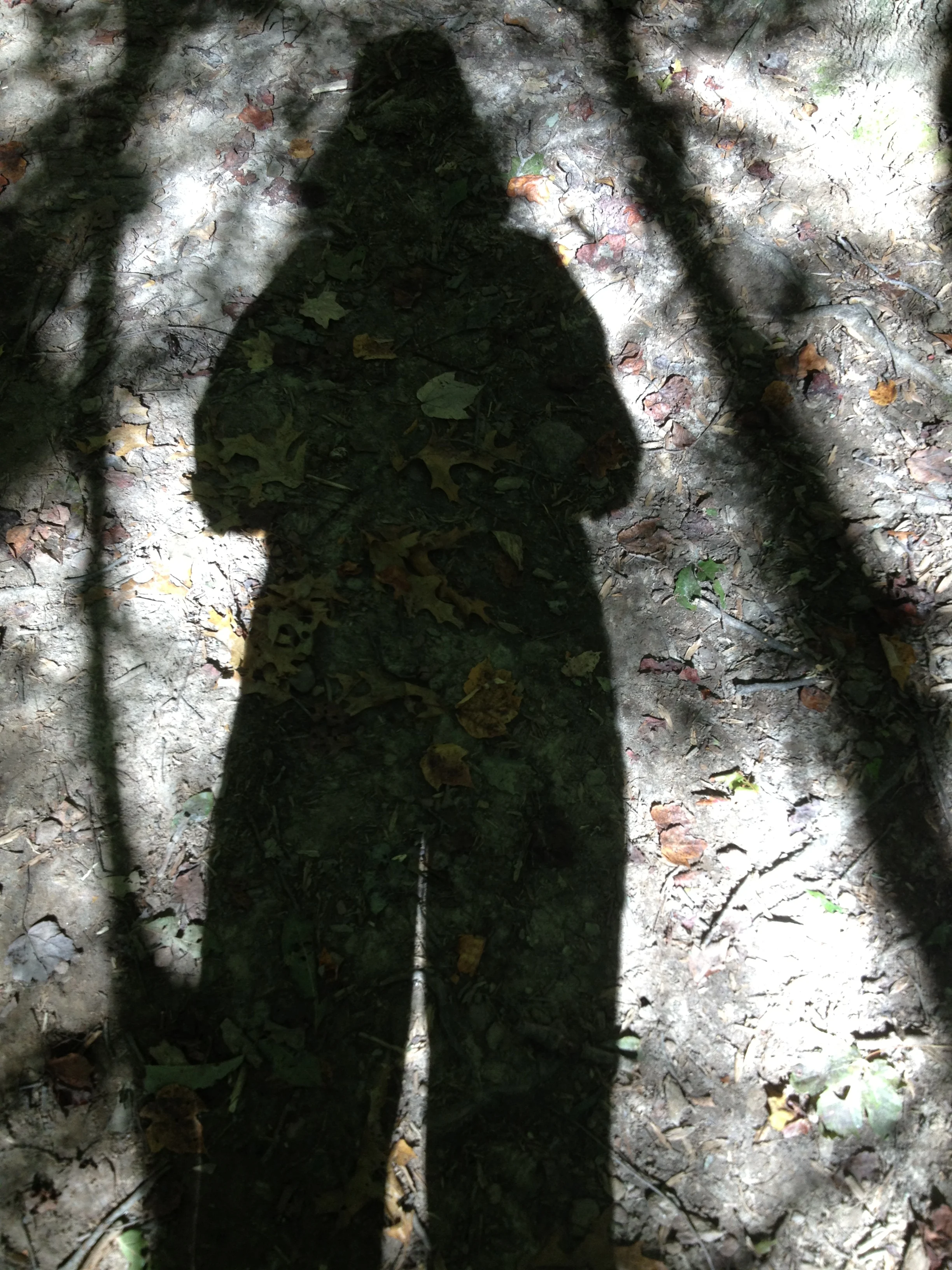 2012-09-24 09.56.55.jpg