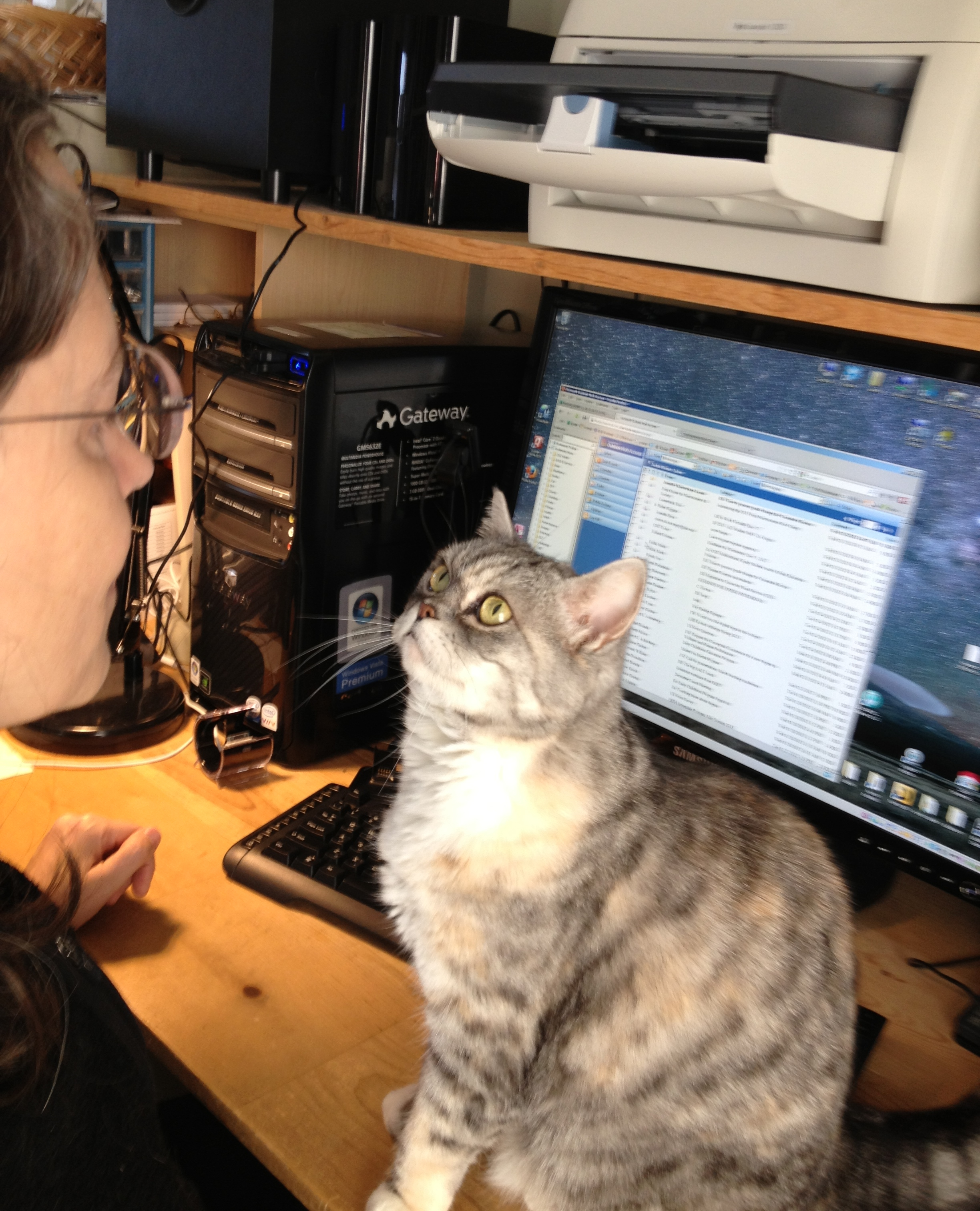 The tinkerer's assistant