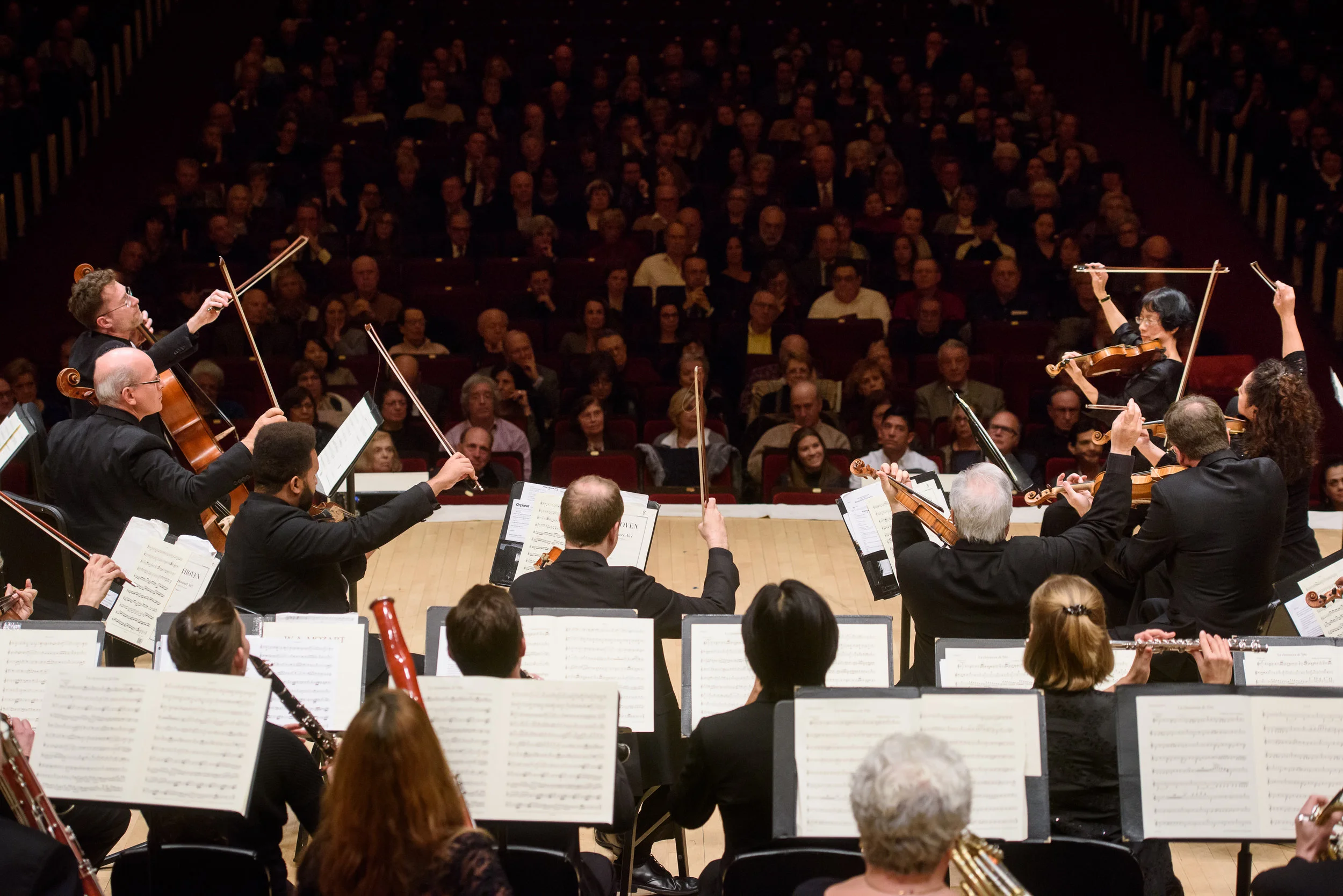 OrpheusOct2016-0028.jpg