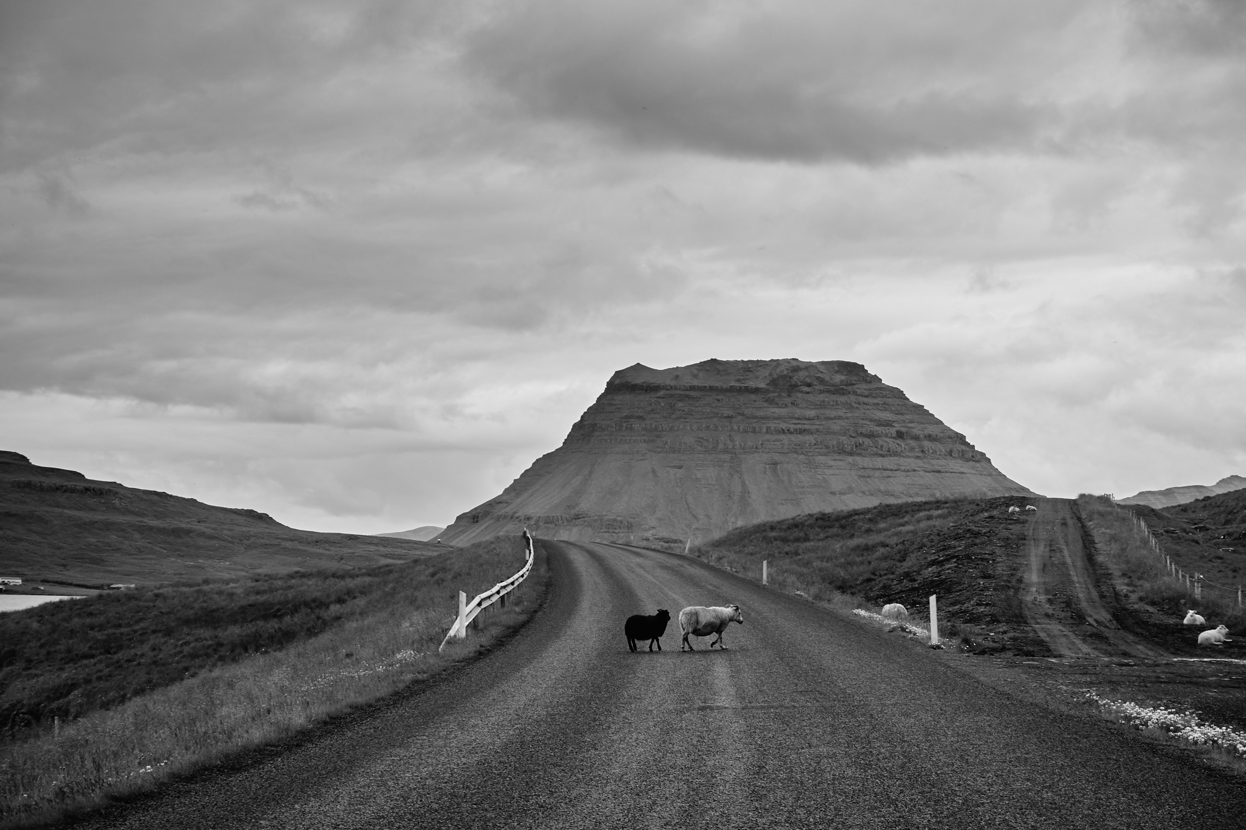 Iceland 2018-0002.jpg