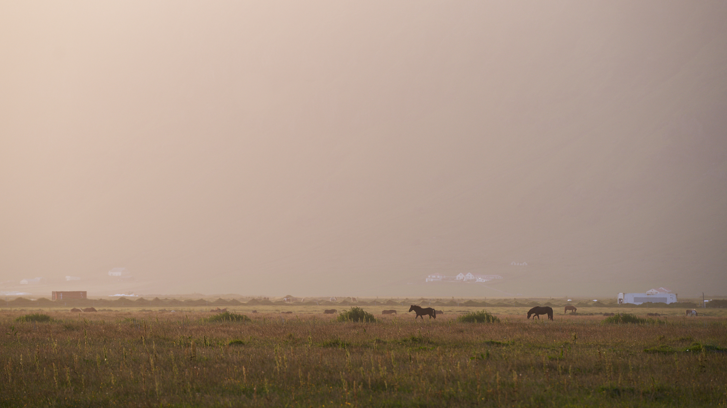 Iceland 2018-0008.jpg