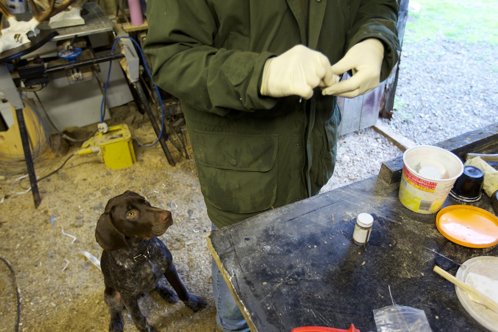 Smells are key. Mark puts smell-infused gels and waxes onto the traps to make the target animal divert from the usual path (into the trap). 