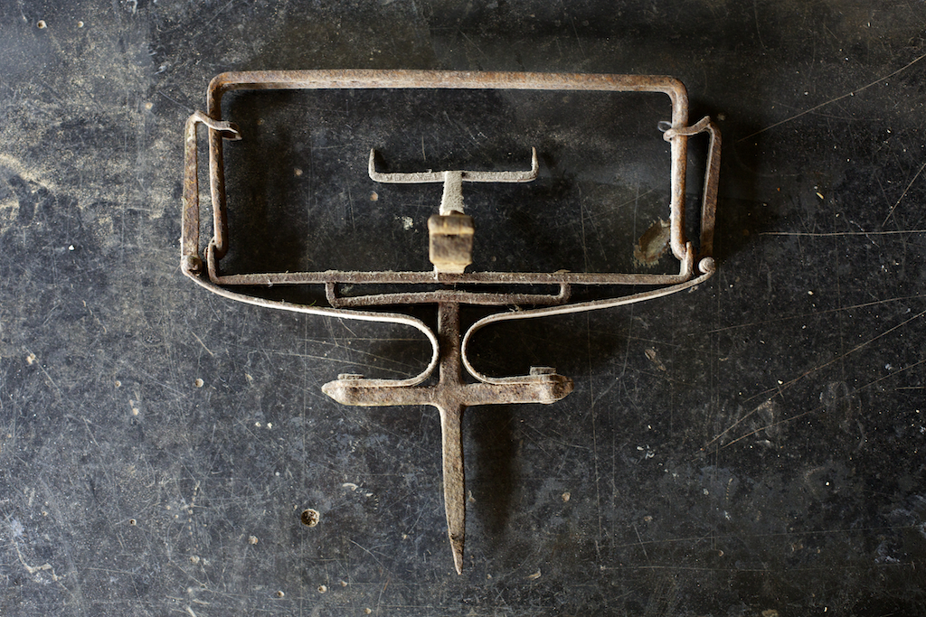 llegal trap: This is a golden eagle trap, used primarily in the late 19th and early 20th century. Understandably, this was one of the first to be banned. 