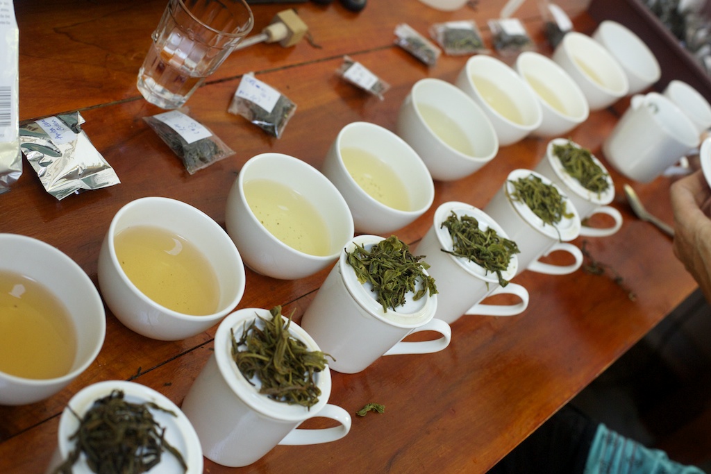 Tasting is an arduous process, and due to the numerous batches and tests it is an ever-expanding to-do list. Everyone takes part and fortunately Beverley has discovered a natural gift for it, so she is the main taster.