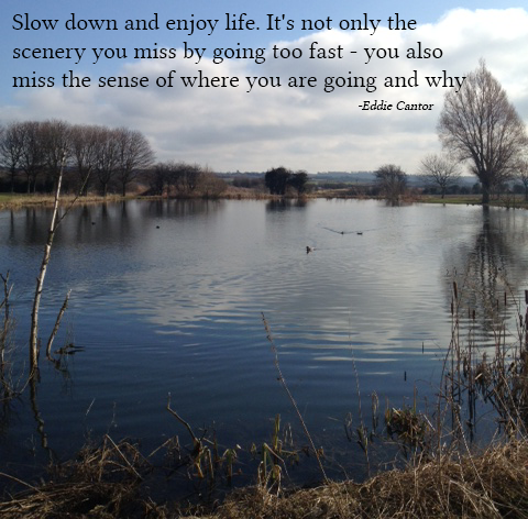 slow-down.png
