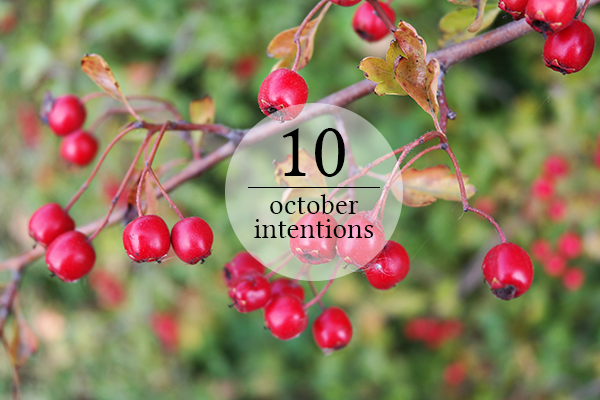 october_intentions.png
