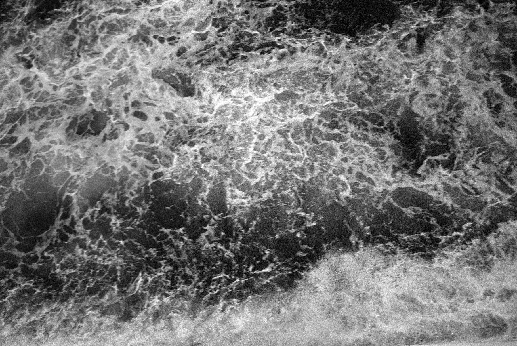 Negatives_77_002.jpg