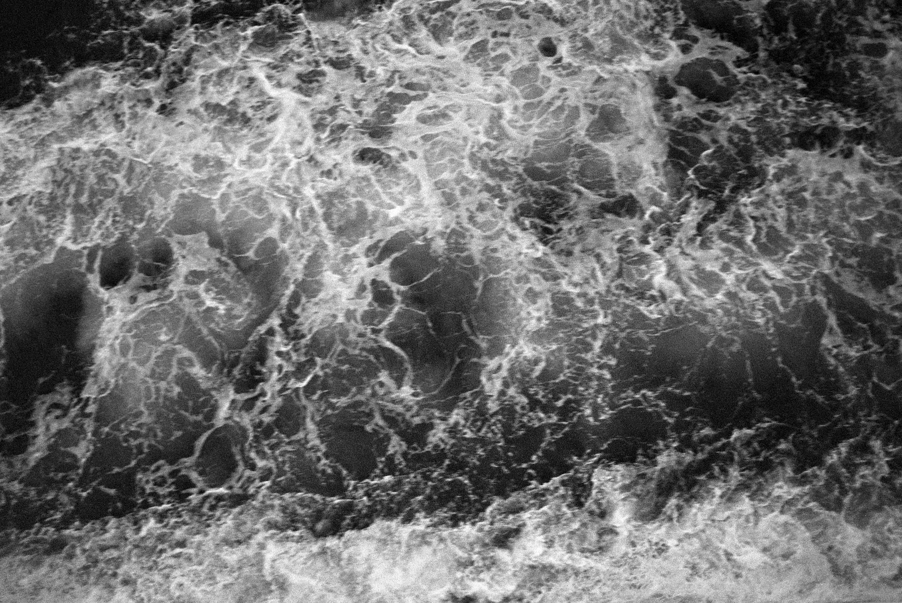 Negatives_77_004.jpg