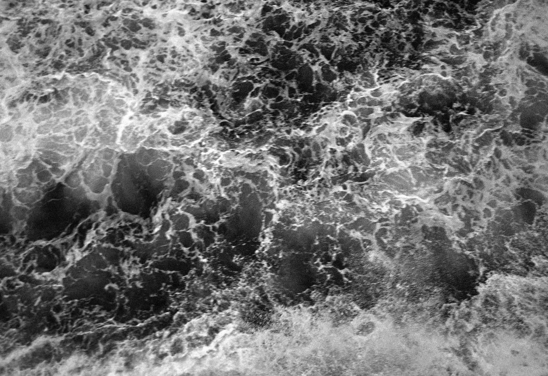 Negatives_77_006.jpg
