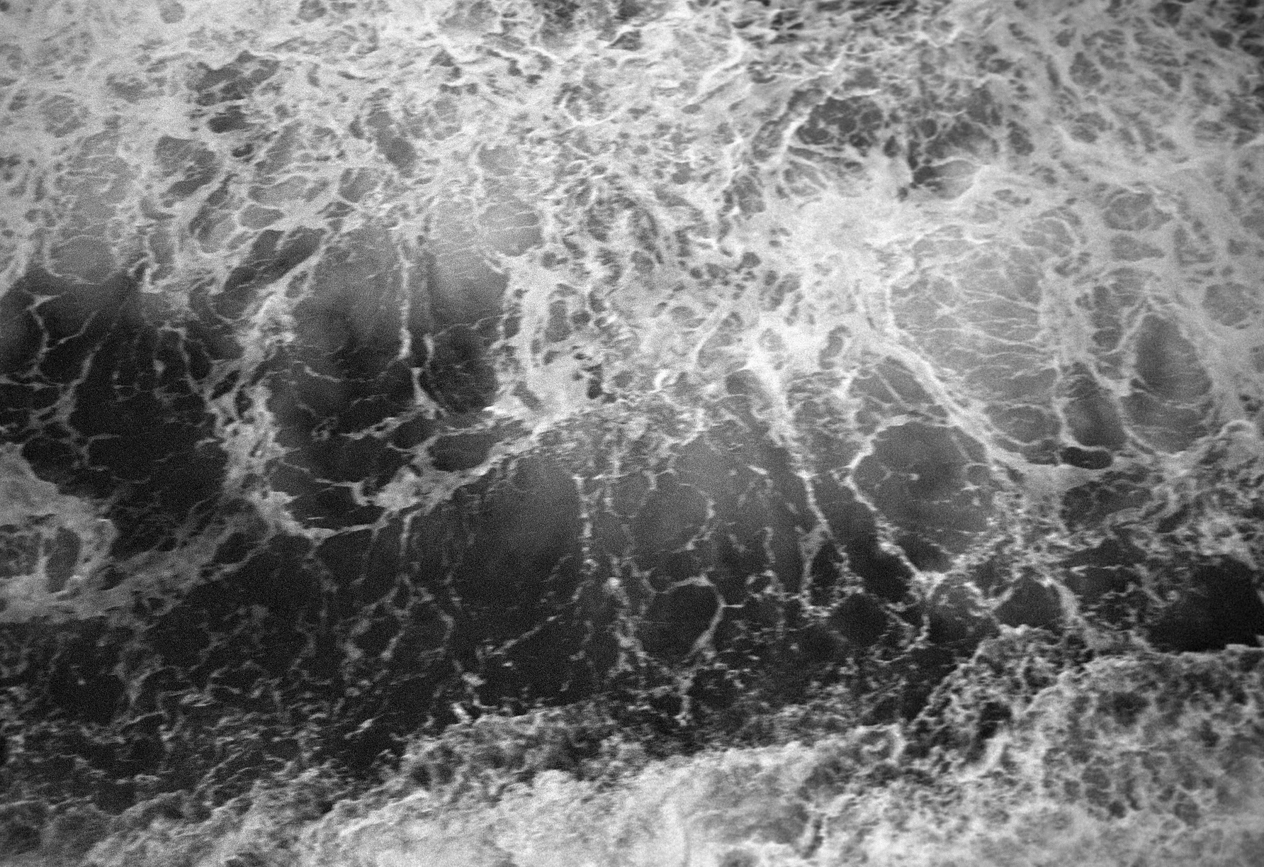 Negatives_77_007.jpg