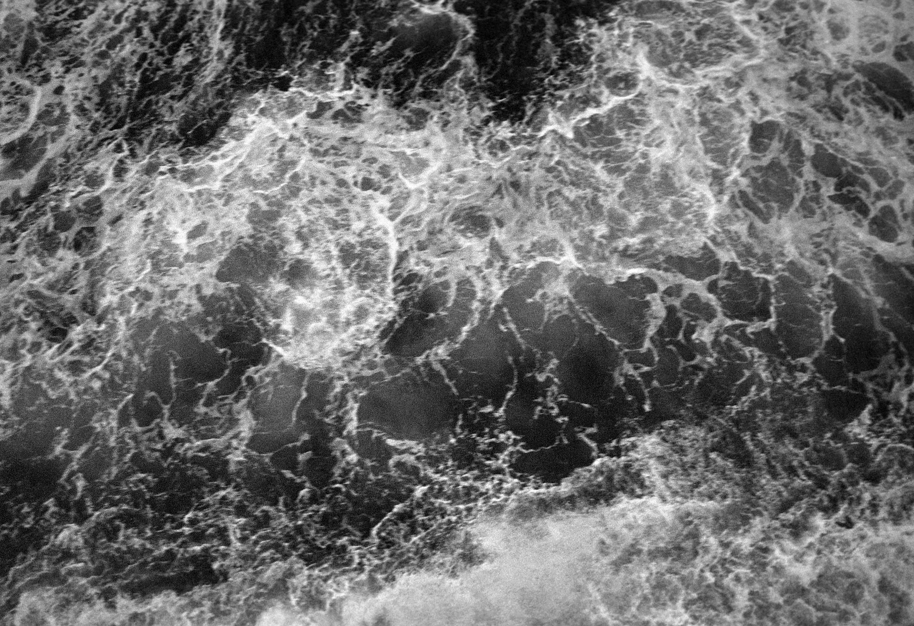 Negatives_77_008.jpg