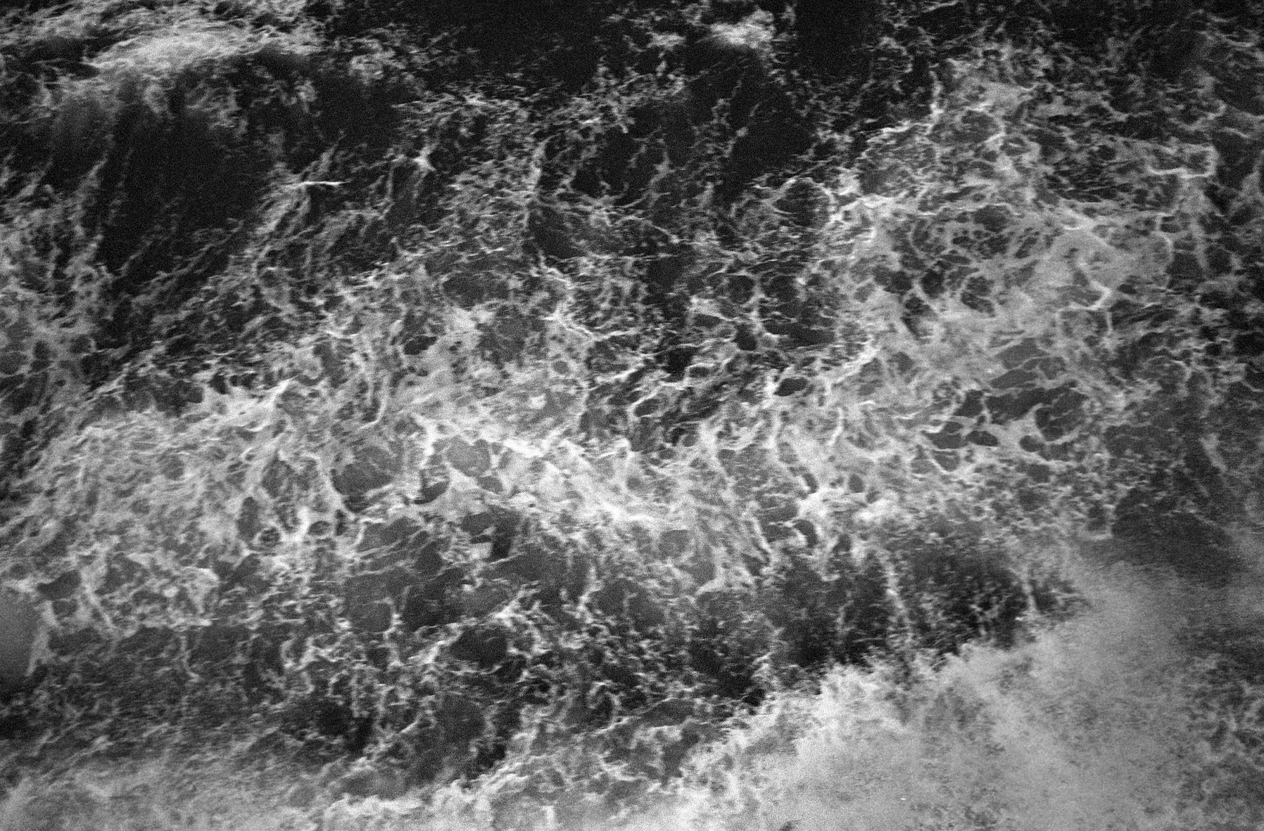 Negatives_77_010.jpg