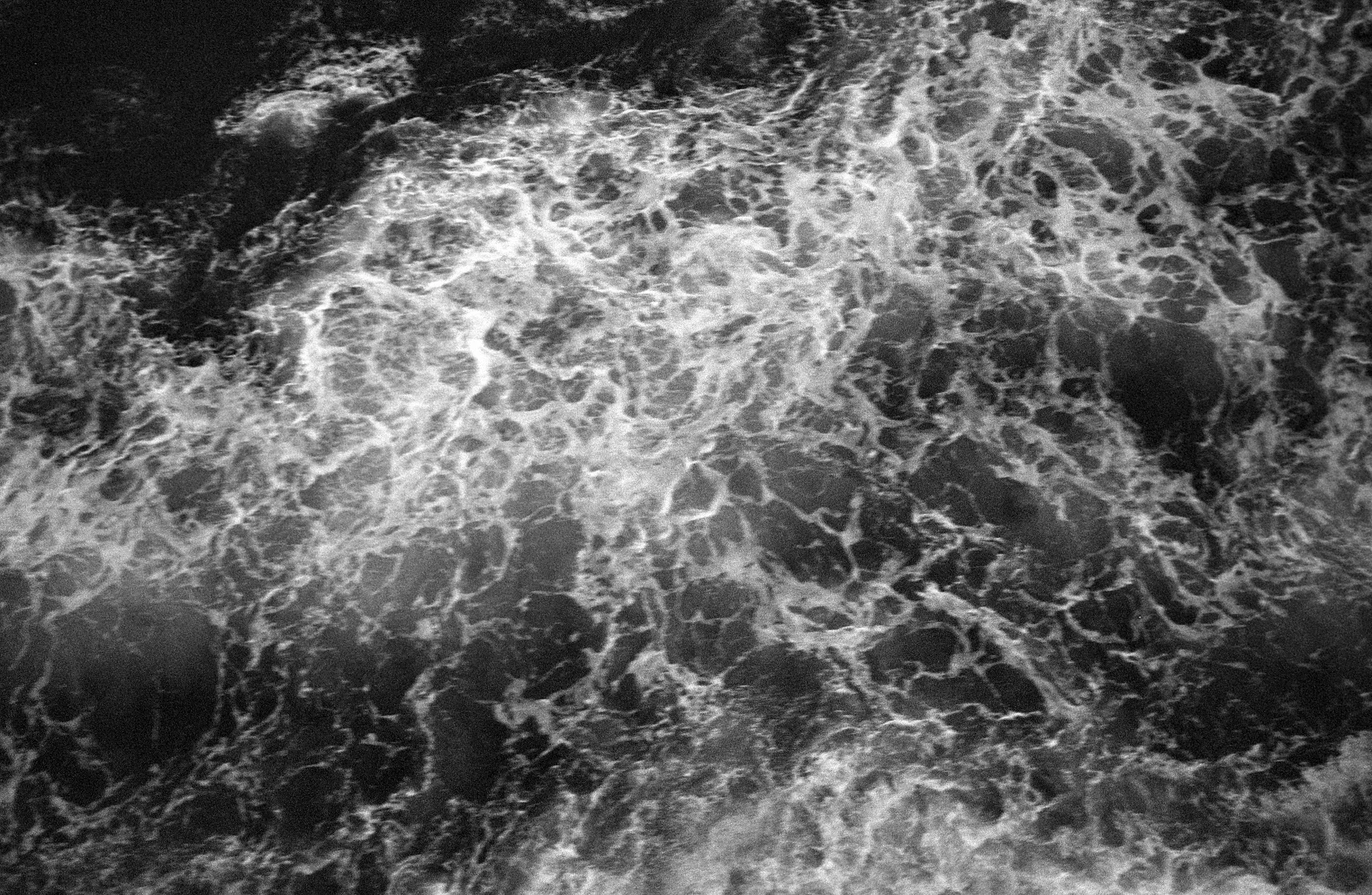 Negatives_77_017.jpg