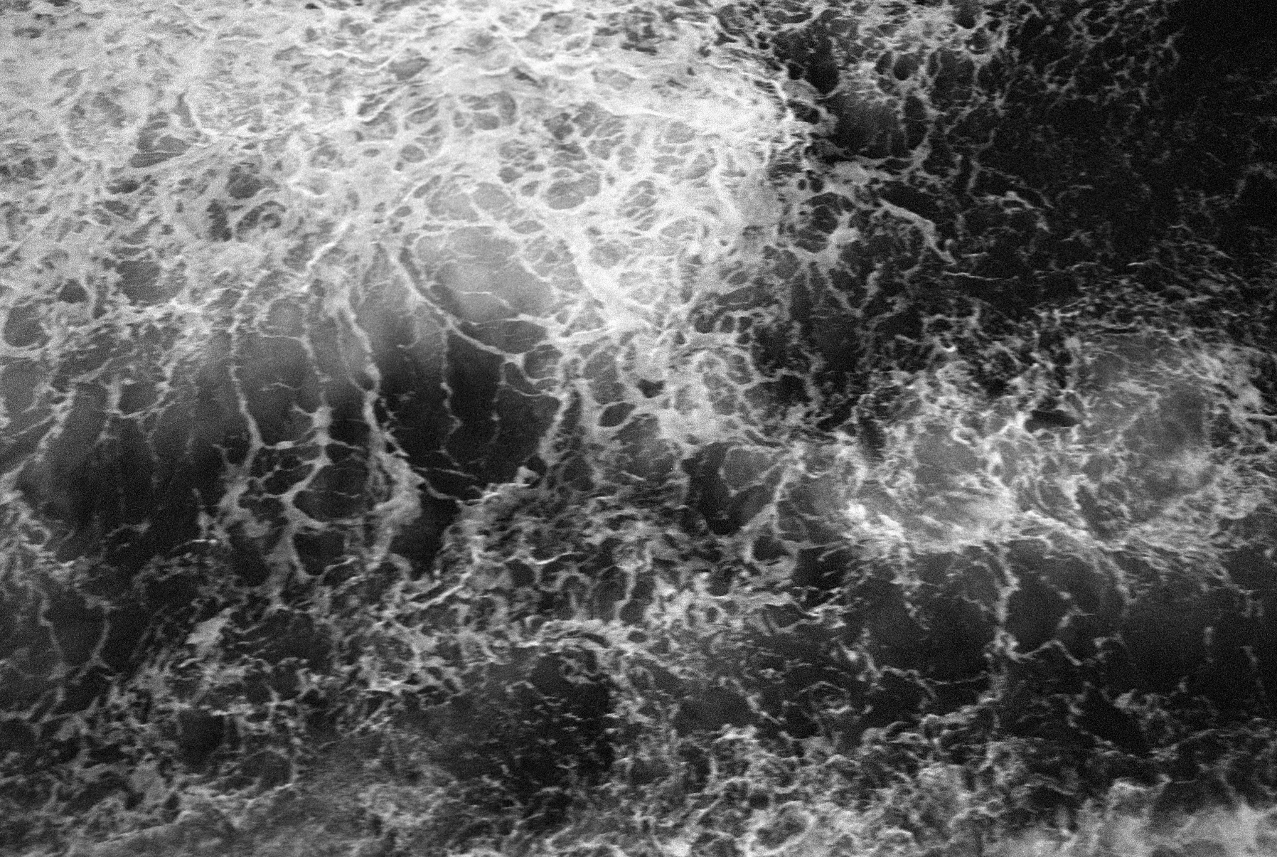 Negatives_77_018.jpg