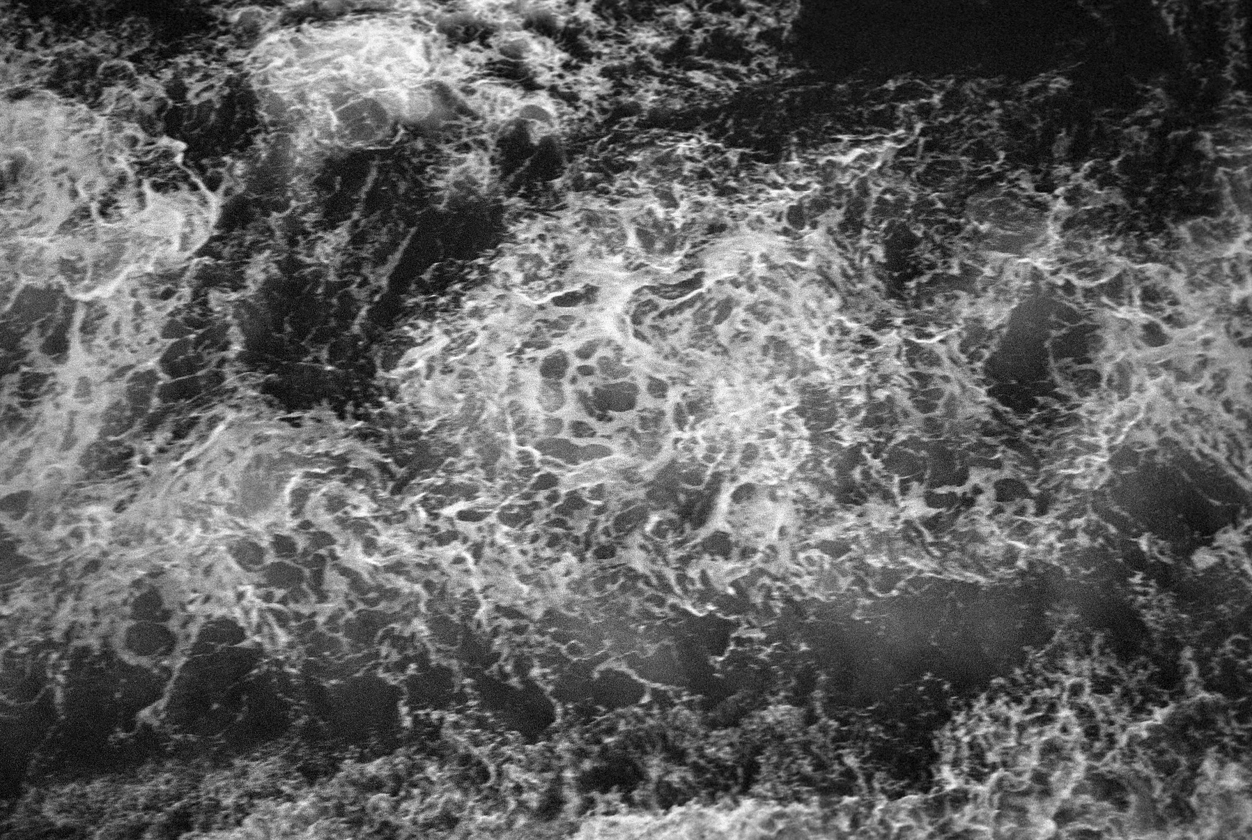 Negatives_77_020.jpg
